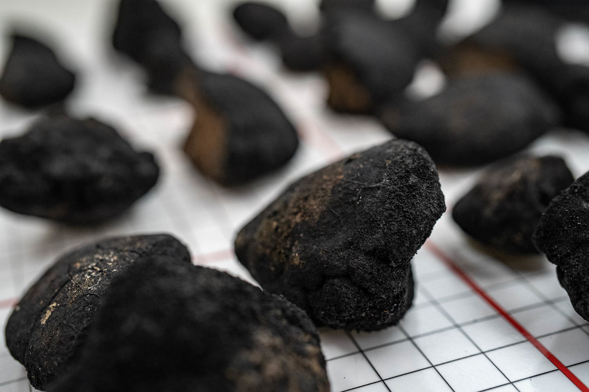 Polymetallic Nodules Before Cobalt Extracted